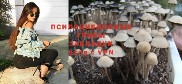 соль курить ск Осинники