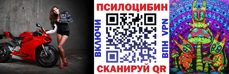 Псилоцибиновые грибы мицелий  где купить   Киренск 